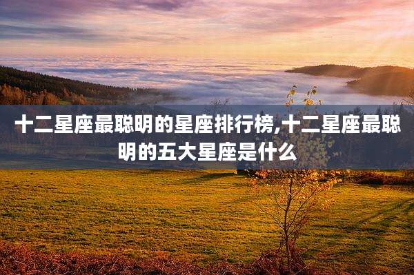 十二星座最聪明的星座排行榜,十二星座最聪明的五大星座是什么