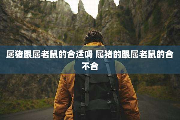 属猪跟属老鼠的合适吗 属猪的跟属老鼠的合不合