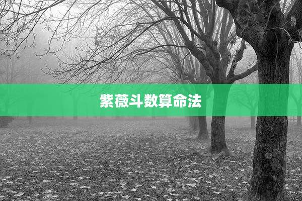 紫薇斗数算命法