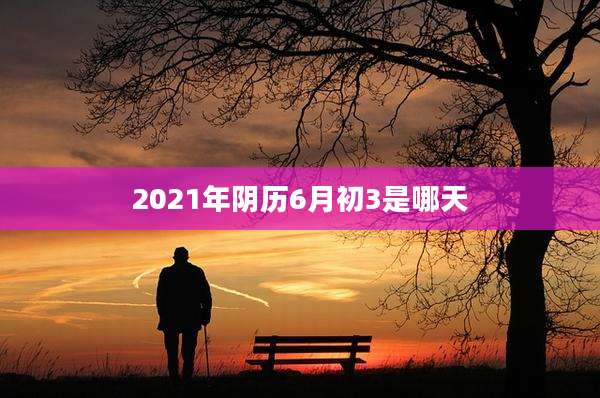 2021年阴历6月初3是哪天