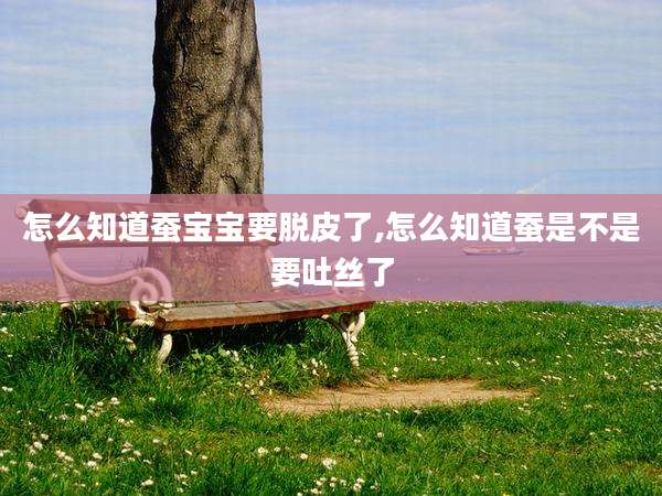 怎么知道蚕宝宝要脱皮了,怎么知道蚕是不是要吐丝了