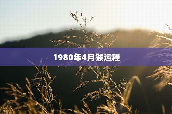 1980年4月猴运程