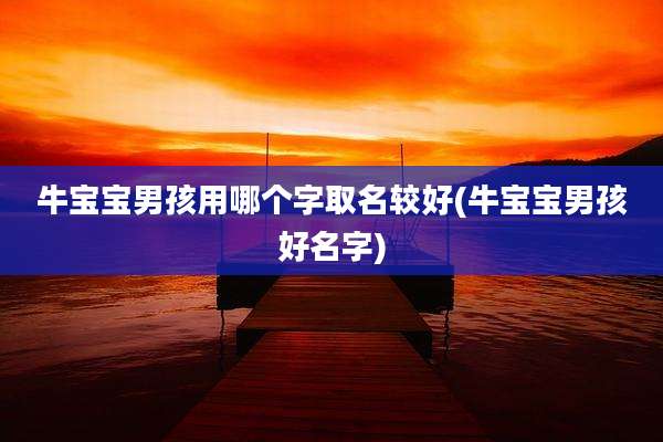 牛宝宝男孩用哪个字取名较好(牛宝宝男孩好名字)