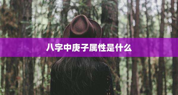 八字中庚子属性是什么