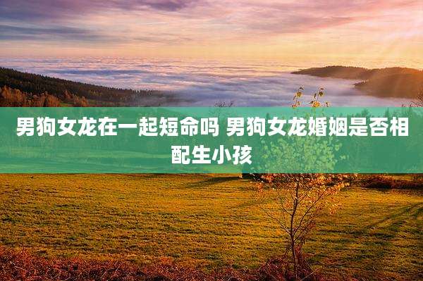 男狗女龙在一起短命吗 男狗女龙婚姻是否相配生小孩