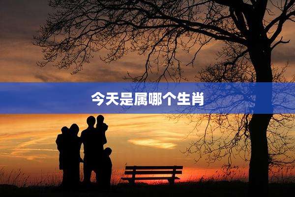 今天是属哪个生肖