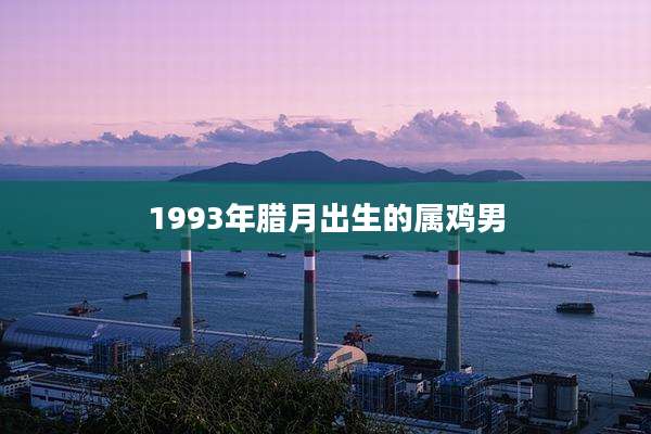 1993年腊月出生的属鸡男