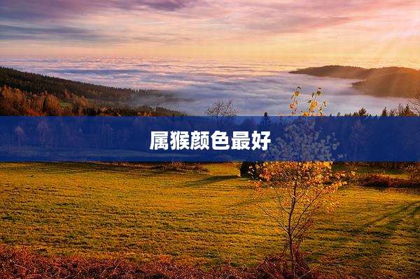 属猴颜色最好