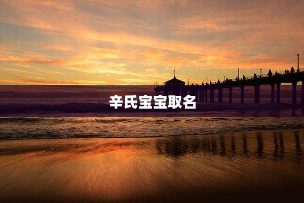 辛氏宝宝取名