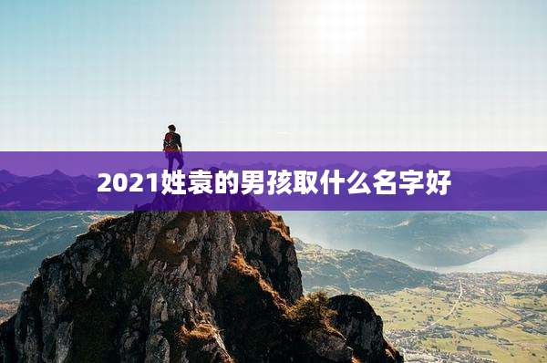 2021姓袁的男孩取什么名字好