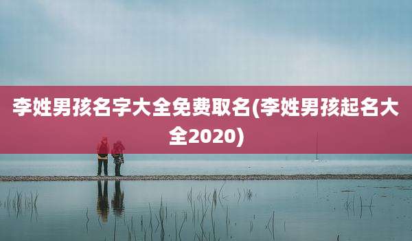 李姓男孩名字大全免费取名(李姓男孩起名大全2020)