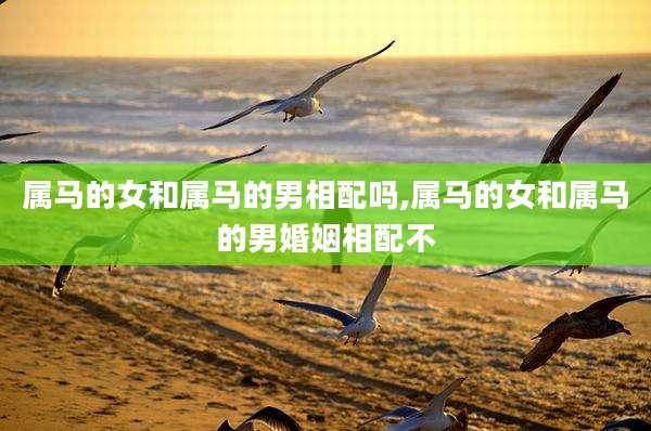 属马的女和属马的男相配吗,属马的女和属马的男婚姻相配不