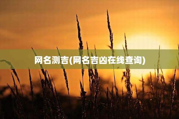 网名测吉(网名吉凶在线查询)