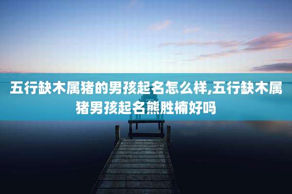 五行缺木属猪的男孩起名怎么样,五行缺木属猪男孩起名熊胜楠好吗