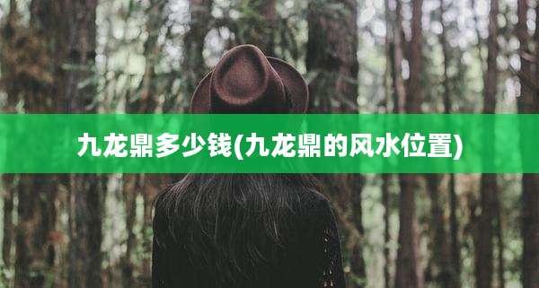 九龙鼎多少钱(九龙鼎的风水位置)