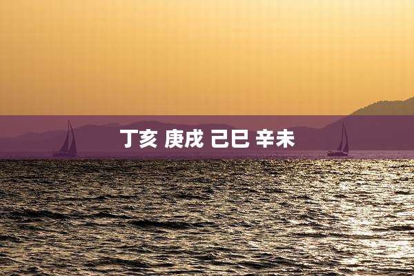 丁亥 庚戌 己巳 辛未