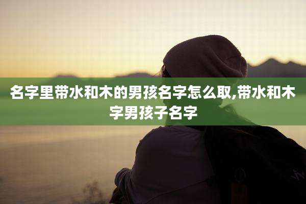 名字里带水和木的男孩名字怎么取,带水和木字男孩子名字