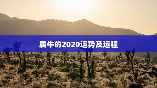 属牛的2020运势及运程