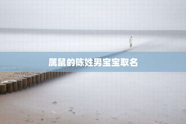 属鼠的陈姓男宝宝取名