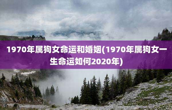 1970年属狗女命运和婚姻(1970年属狗女一生命运如何2020年)