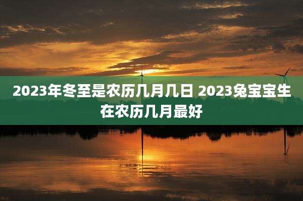 2023年冬至是农历几月几日 2023兔宝宝生在农历几月最好