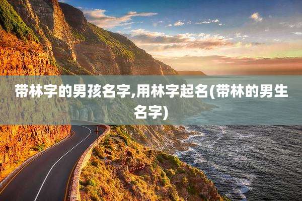 带林字的男孩名字,用林字起名(带林的男生名字)