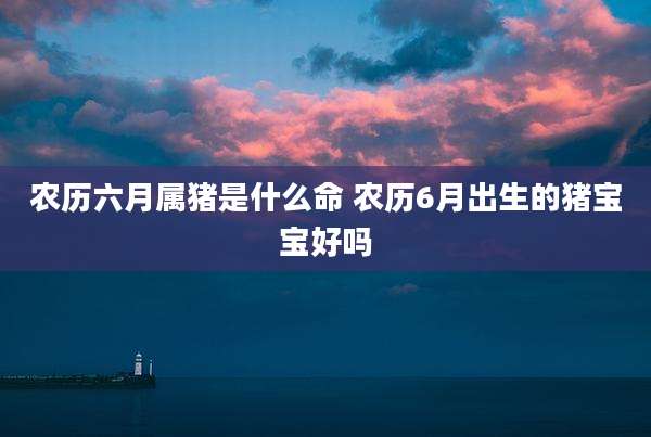 农历六月属猪是什么命 农历6月出生的猪宝宝好吗