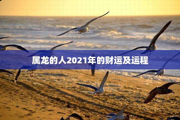 属龙的人2021年的财运及运程