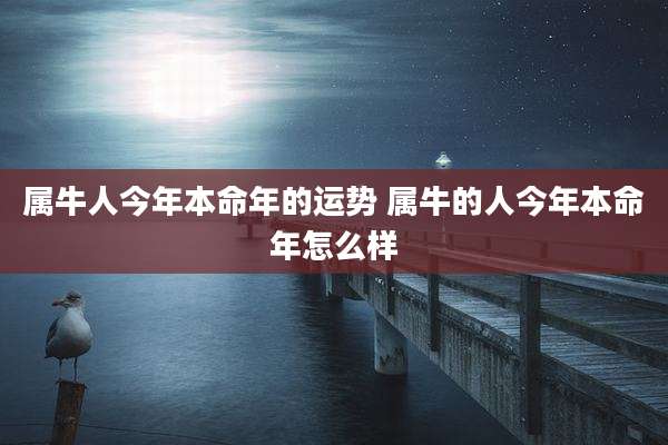 属牛人今年本命年的运势 属牛的人今年本命年怎么样