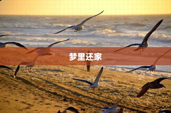 梦里还家