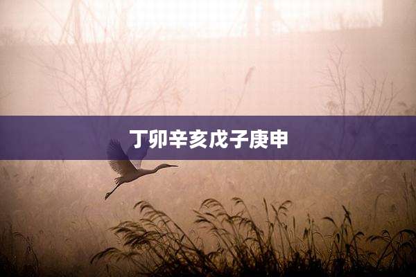 丁卯辛亥戊子庚申