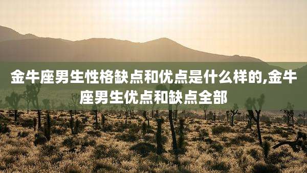 金牛座男生性格缺点和优点是什么样的,金牛座男生优点和缺点全部