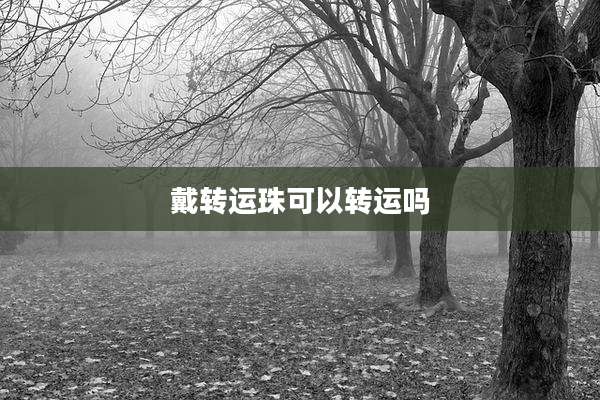 戴转运珠可以转运吗
