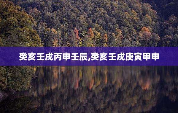 癸亥壬戌丙申壬辰,癸亥壬戌庚寅甲申