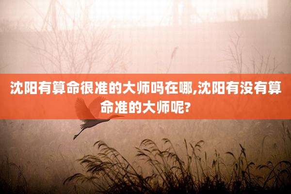 沈阳有算命很准的大师吗在哪,沈阳有没有算命准的大师呢?