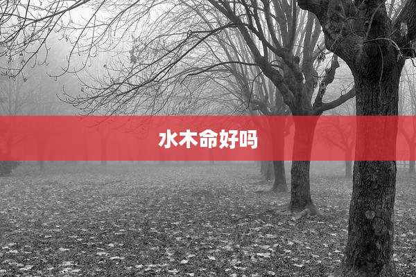 水木命好吗