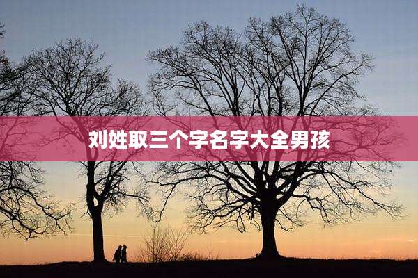 刘姓取三个字名字大全男孩