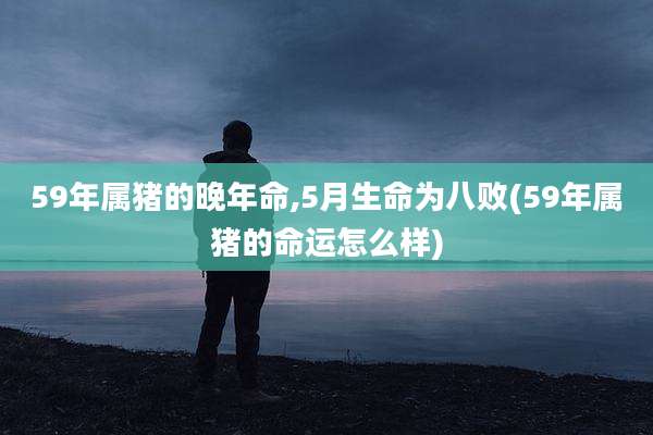 59年属猪的晚年命,5月生命为八败(59年属猪的命运怎么样)