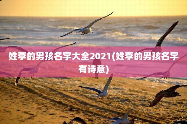 姓李的男孩名字大全2021(姓李的男孩名字有诗意)