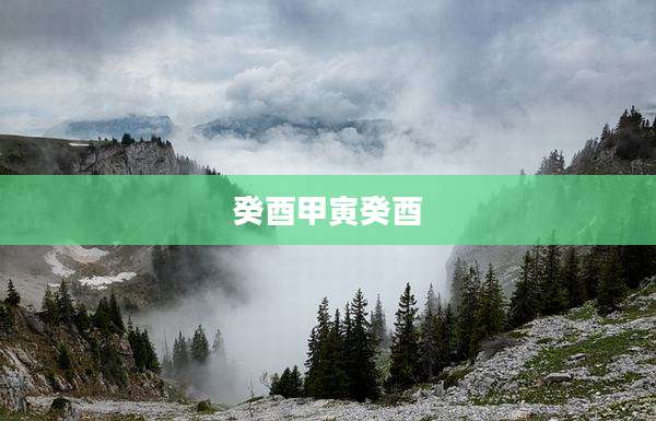 癸酉甲寅癸酉