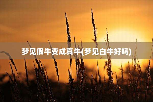 梦见假牛变成真牛(梦见白牛好吗)