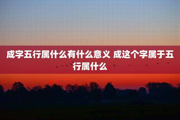 成字五行属什么有什么意义 成这个字属于五行属什么