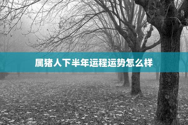 属猪人下半年运程运势怎么样