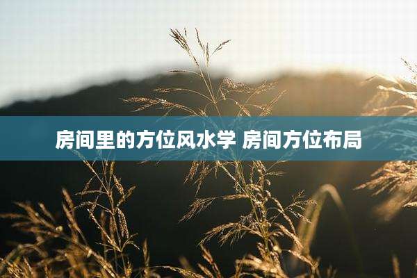 房间里的方位风水学 房间方位布局