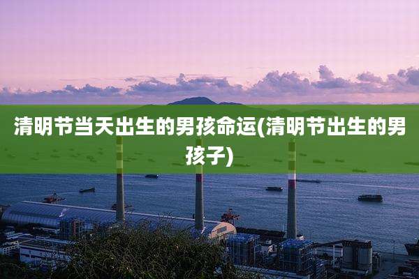 清明节当天出生的男孩命运(清明节出生的男孩子)