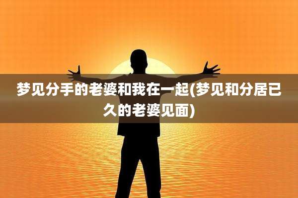 梦见分手的老婆和我在一起(梦见和分居已久的老婆见面)