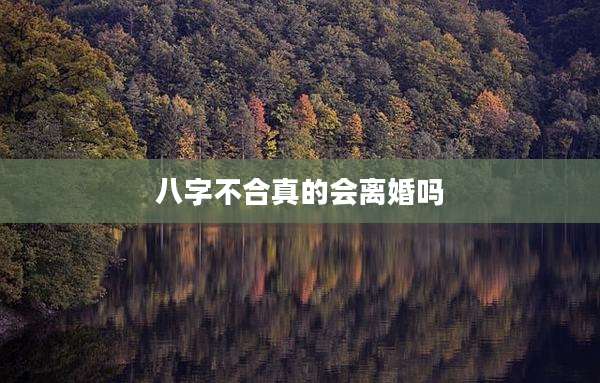 八字不合真的会离婚吗
