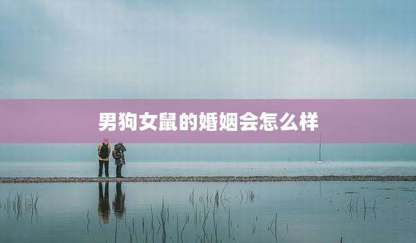 男狗女鼠的婚姻会怎么样