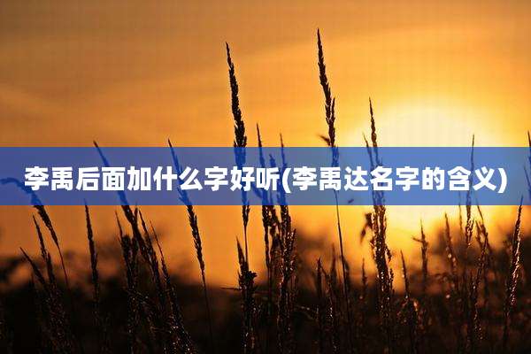 李禹后面加什么字好听(李禹达名字的含义)