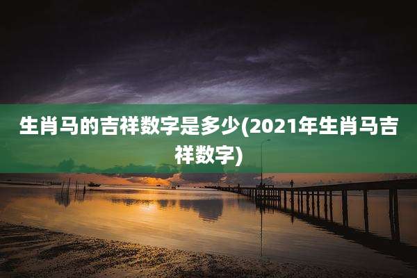 生肖马的吉祥数字是多少(2021年生肖马吉祥数字)